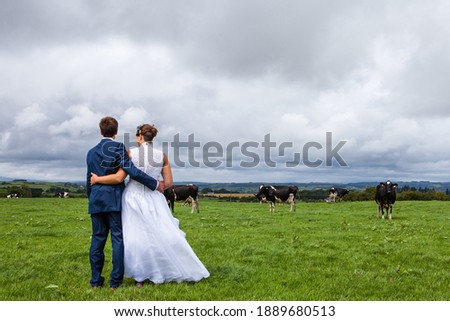 Just married couple, groom in the dark grey suit, bride in the long white dress, hugging, standing on the farm field, grey sky, green grass, back view, unrecognizible