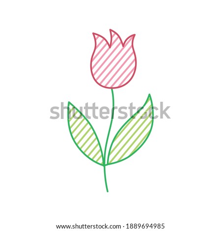 Red pink tulip flower isolated icon cartoon doodle vector sketch