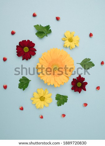 circle made with fresh love and flowers on pastel blue background. Minimal flat lay