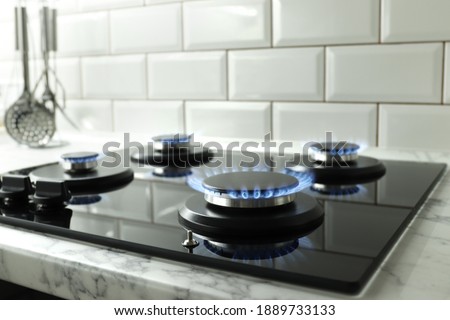 Closeup shot of blue fire from domestic kitchen stove top. Gas cooker with burning flames of propane gas. Industrial resources and economy concept. Royalty-Free Stock Photo #1889733133