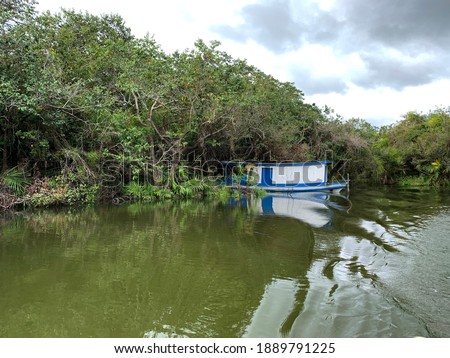 Photo of a rustic boat at the edge of a stream in the Amazon rainforest in the high season located in the Alter do Chão region, Brazil.
