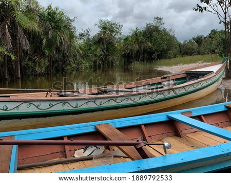 Close-up photo of rustic boats found in a stream in the Amazon rainforest located in the Alater do Chão region, Brazil.