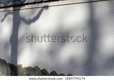 The shadow of a tree on a stone wall is reminisent of a classical Javanese puppet drama.