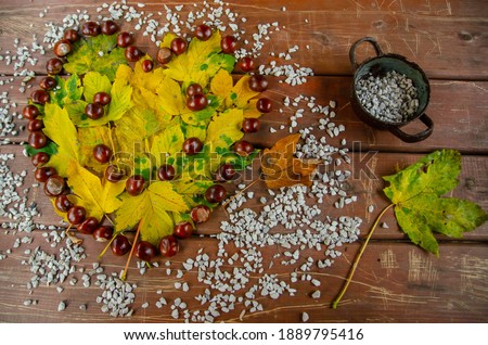 autumn picture with a bowl of chestnuts, autumn leaves, autumn landscape
