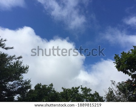 
A photo of blue sky, clouds and leaves