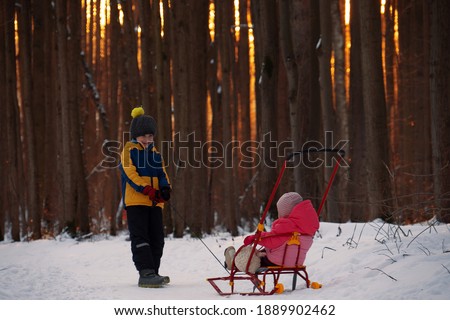 The boy, seven years old roll his little sister on the sled in the winter forest