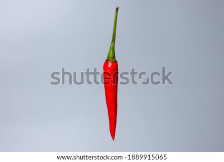 A levitation picture of the hottest small chilli pepper with on gray background.