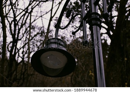 Beautiful picture of black light in park uttarakhand