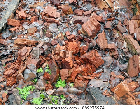 Crushed old wood with fallen leaves, background     