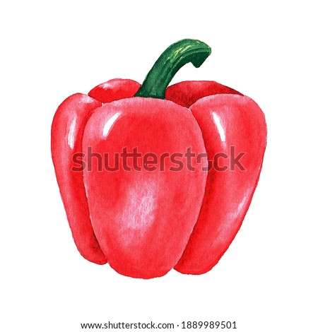 Hand drawn watercolor red bell peppers