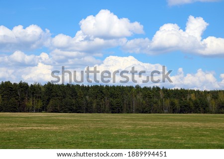 Nice view of the green forest and white clouds against the blue sky. selective focus