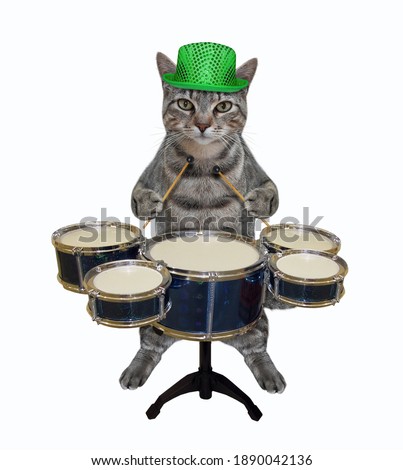 A gray cat in a green hat is playing the drums. White background. Isolated.
