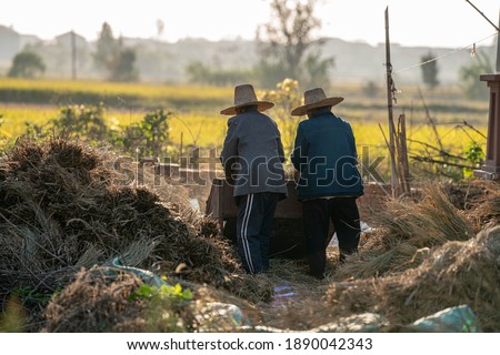 Two Chinese farmers are threshing the harvested rice