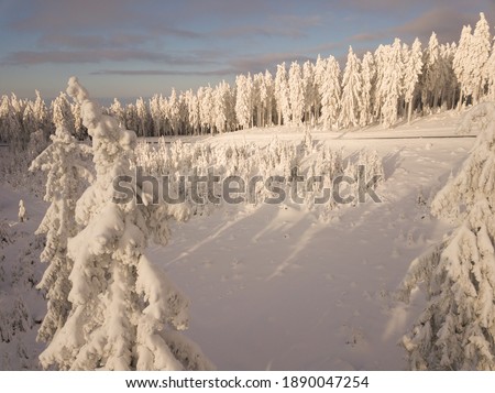 Aerial foto of the Taunus Grosser Feldberg area with snow covered and frozen trees during winter in the rising morning sun