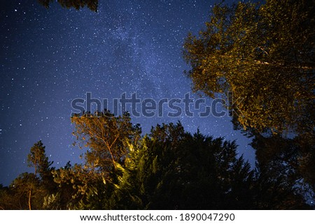 night photo of the stars in the forest