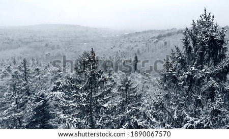 Snow-covered trees aerial picture. Drone photo of palatinate forest during cold  German winter in December. Snow and nature.