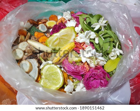 The Tiger Collar, or can be translated as "Fighting Tiger" in Indonesian, is a type of flower commonly used by Javanese people to bathe before carrying out a celebration event.
