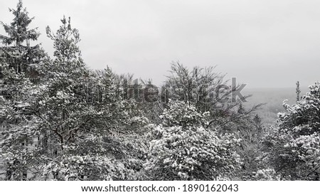 Snow-covered trees aerial picture. Drone photo of palatinate forest during cold  German winter in December. Snow and nature.