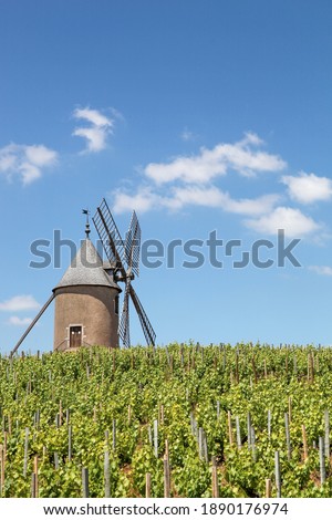 Vineyard with an old windmill in Moulin a Vent, Beaujolais. France Royalty-Free Stock Photo #1890176974