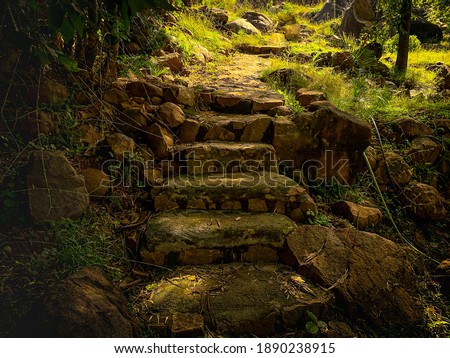 Green pathway to the heaven 