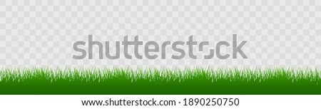 Green grass border. Silhouette of grass on transparent background. Green lawn panoramic landscape. Template with herbal border for your design. Vector illustration.