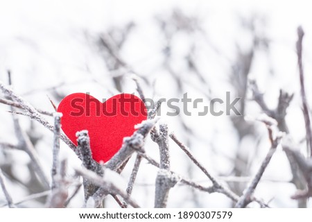 a red heart on the thorny branches of a winter tree