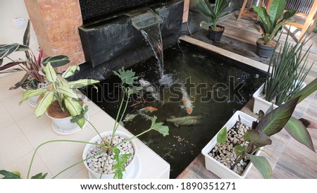minimalist koi fish pond from top view, suitable for indoors of the house.