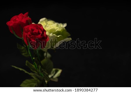 One red rose and two white roses on a black background. It can puts the sentence and be a copy space.