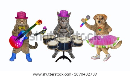 Two cats and a dog play the drums, the acoustic guitar and sing a song. White background. Isolated.
