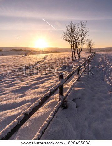 Winter sun beams.  This image is a very winter landscape photo.  The sunrising over the horizon which is has created some dramatic light and sun beams in the image.