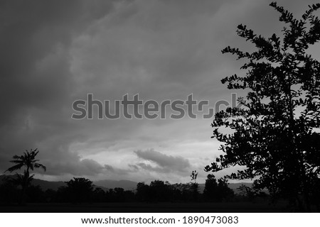 Black and white alias noir picture of cloudy sky during a light rain above the country side with tree silhouette. Suitable for backdrop, background or wallpaper