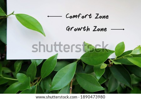 White paper note in tree bush with text written COMFORT ZONE , GROWTH ZONE and pointing to each direction, concept of making decision to stay in comfort zone or step out taking risk and learn to grow Royalty-Free Stock Photo #1890473980