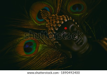 laughing buddha idol with peacock feather in the background. beautiful background image of buddha in calm meditated state.peaceful and relaxing background for meditation.calm and peaceful backdrop.