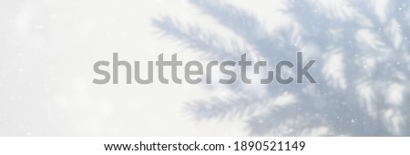 blurred photo of a shadow from a christmas tree branch on a white gray background of a wall or table. falling snow. banner