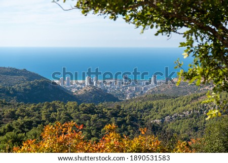 View of a town Tirat Carmel from the reserve Hai Bar Carmel located on the territory of the mountain massif Carmel in Israel in autumn day Royalty-Free Stock Photo #1890531583