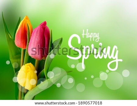 Happy Spring greeting card with colorful tulips stock images. Fresh spring green floral background with tulips flowers. Happy Spring inscription images