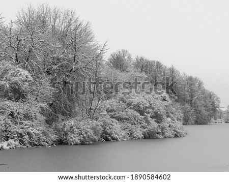 The snow-covered forest next to the frozen lake in daylight, black-white photography