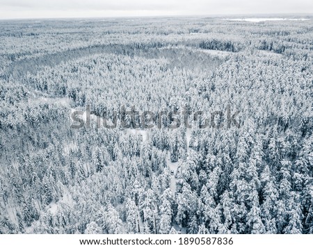 Fresh Snow Covering Tree Tops - Aerial Drone Top Down Photo