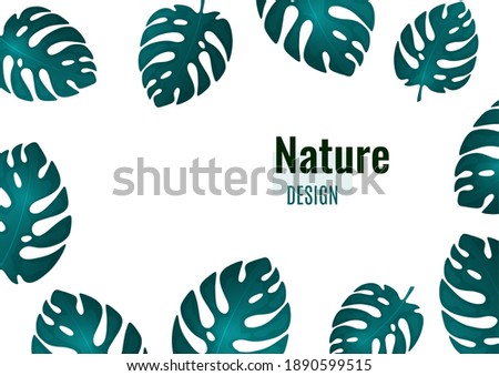 Trendy natural design of bright monstera leaves, place for text, white background. Modern botanical vector illustrations for advertising.