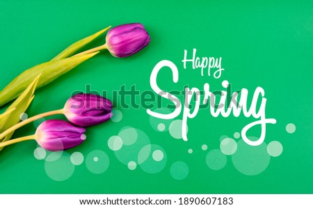 Happy Spring greeting card with purple tulips stock images. Fresh spring green floral background with tulips flowers. Happy Spring inscription images