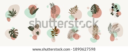 Vector abstract botanical compositions. Boho story highlites template. Fluid organic shapes, neutral colors. Bohemian exotic leaves. Mid Century Modern foliage design. Twigs illustration Royalty-Free Stock Photo #1890627598