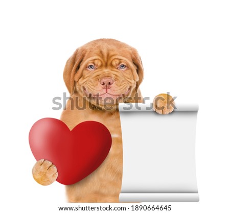 Smiling puppy holds the red heart and empty list. isolated on white background