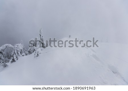 Cold winter morning in mountain foresty with snow covered fir trees. tatras, slovakia