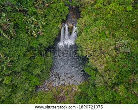 Aerial top view of Leon waterfall (Cascade Leon) located in the south of Mauritius island