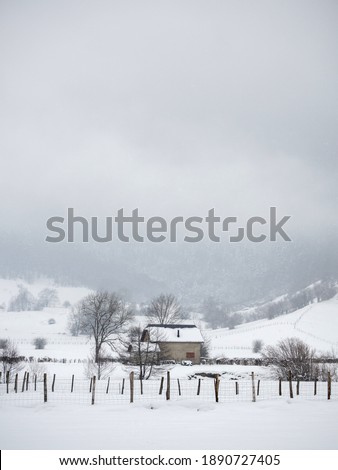 Snowy landscape in the mountains of the atlantic pyrenees