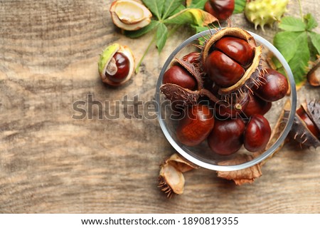 Horse chestnuts on wooden table, flat lay. Space for text
