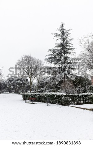 Winter landscape urban park in full snowfall. Urban lifestyle concept. Vertical photography and selective focus