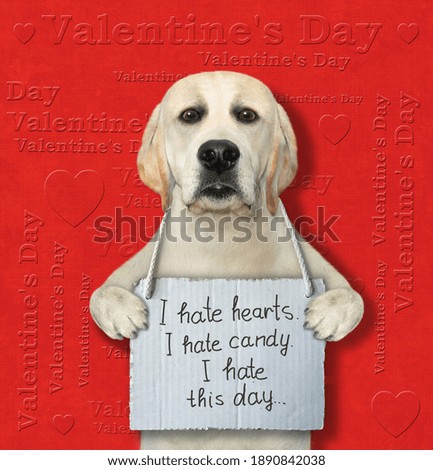 A dog with a sign around his neck that says I hate valentine's day. Red background.