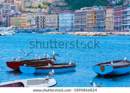 Mediterranean landscape. Sea view of the Gulf of Naples. Seagulls sit on boats moored in the bay. Cityscape of Naples, view of Mergellina district. The province of Campania. Italy. Royalty-Free Stock Photo #1890866824