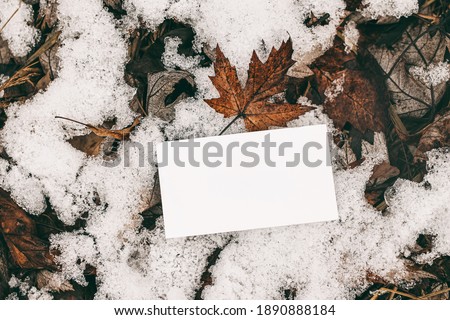 Moody winter styled stock photo. Closeup of blank business card mock-up on frozen ground with dry maple leaves and snow. Outdoor, branding concept. Flat lay, top view. Selective focus.